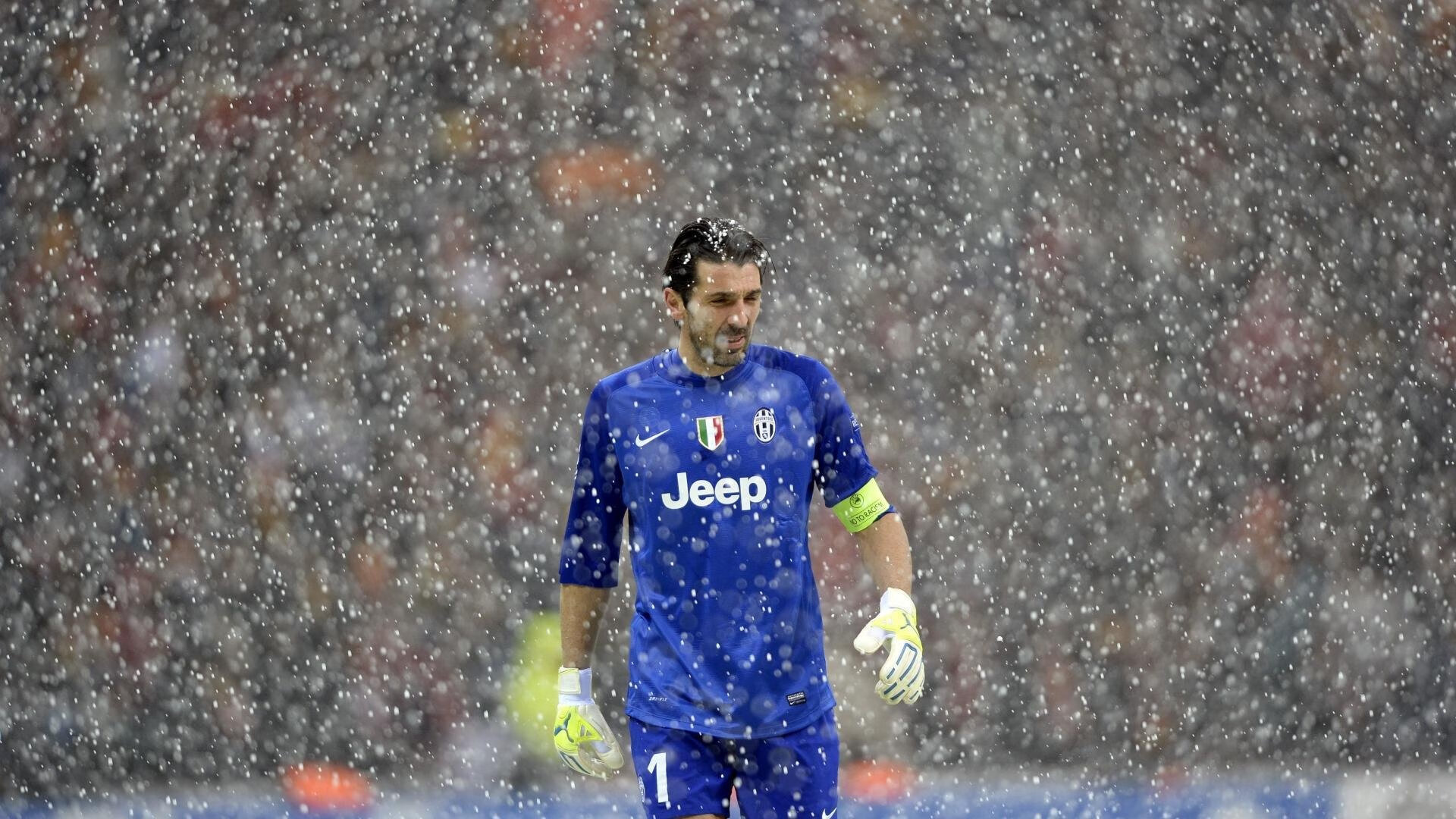 保利斯塔主场战绩稳健，保利斯塔嘉宝果介绍